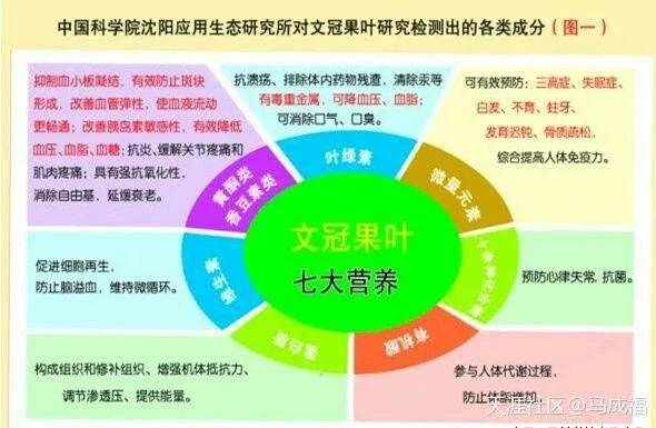 风湿病和炎症的克星文冠果