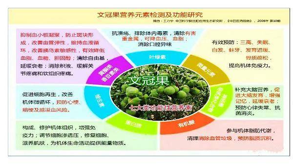 文冠果的药用价值