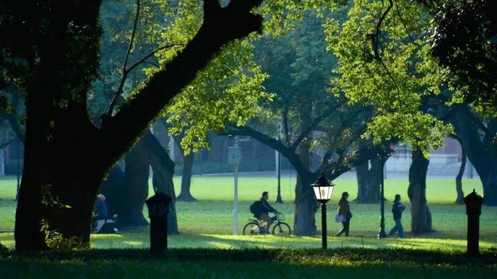 你好<strong></p>
<p>Fiery</strong>，中山大学！