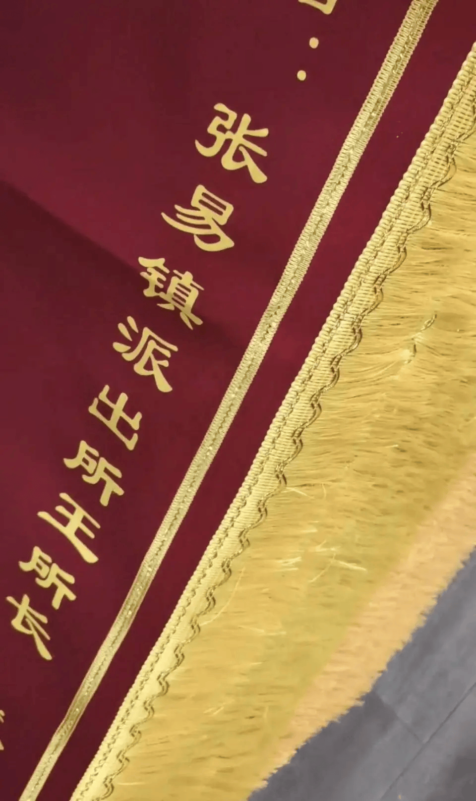 打小学生的副所长获多面锦旗<strong></p>
<p>GEMINI</strong>？网友：打校园霸凌者是“伸张正义”