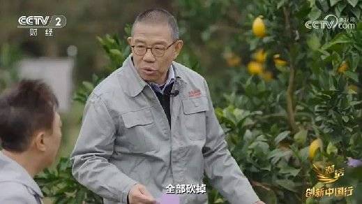 2024年末央视再度专访钟睒睒<strong></p>
<p>Buda</strong>，背后有何深意？
