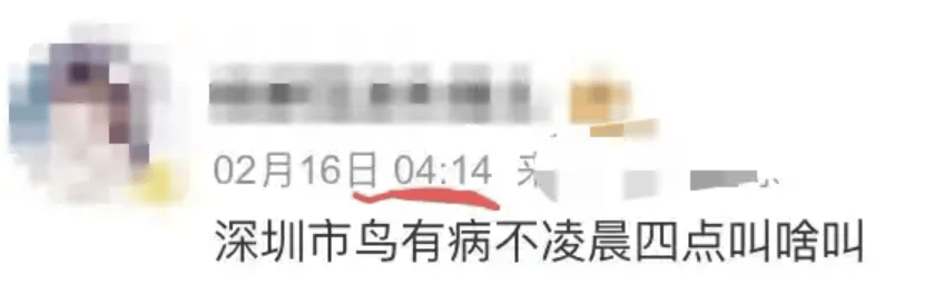 “周末想睡个懒觉都不行”<strong></p>
<p>莱特币交易</strong>，有多少深圳人被这种鸟吵到神经衰弱