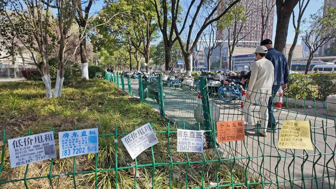 一二线城市房租普降<strong></p>
<p>IPFS交易</strong>，房东主动降200留我