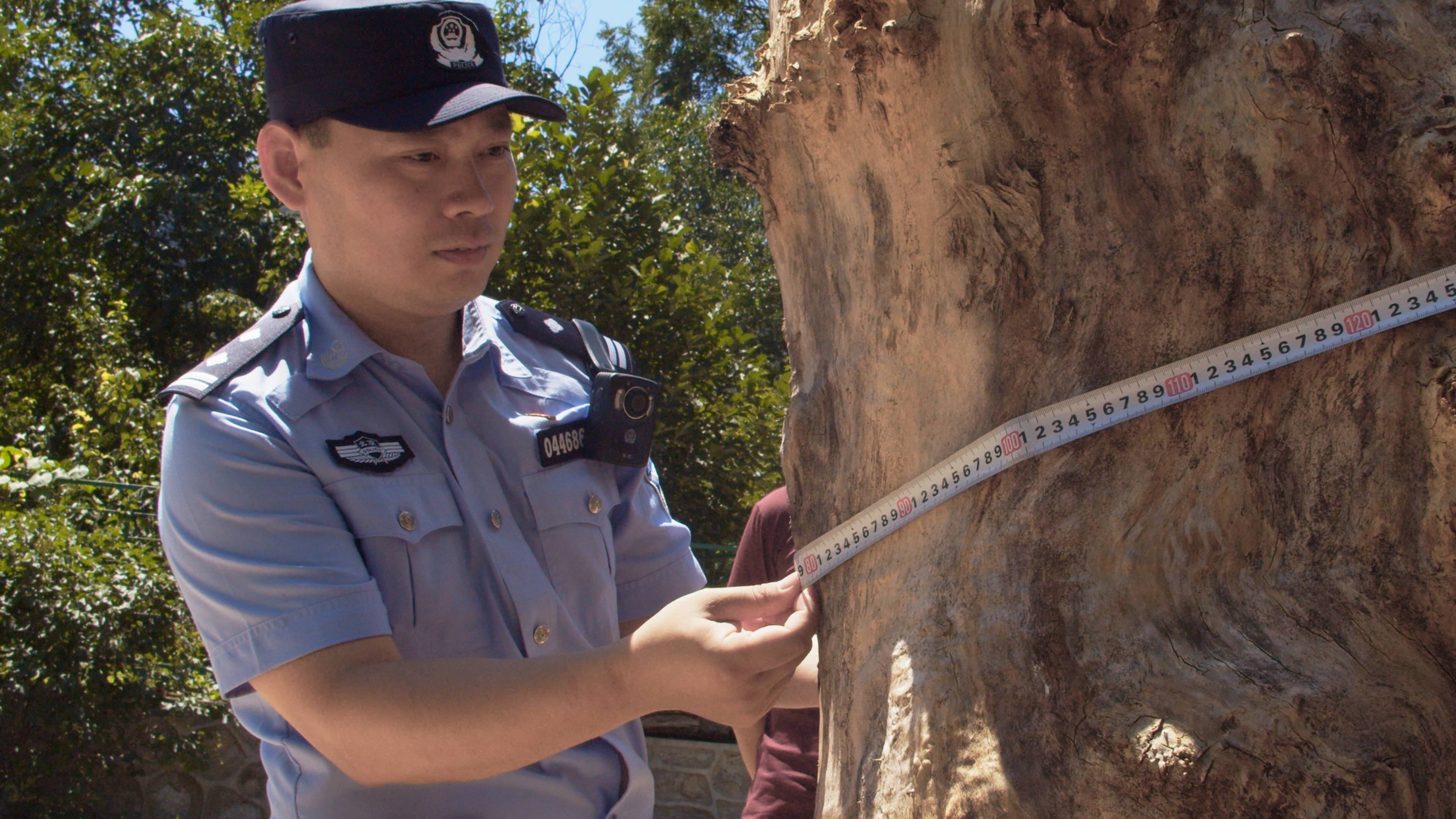 森林警察韩孟祺：乔装成驴友潜伏密林中<strong></p>
<p>币安交易所</strong>，抓获“粘鸟”嫌疑人