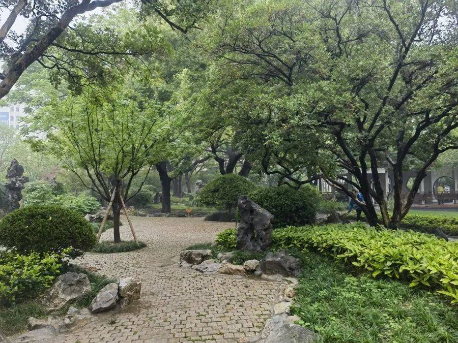 紧急提醒：瞬间爆发！上海市民崩溃：密密麻麻<strong></p>
<p>XRP交易所</strong>，蠕蠕爬行...“梧桐区”已开始战斗，白蚁或提前分飞