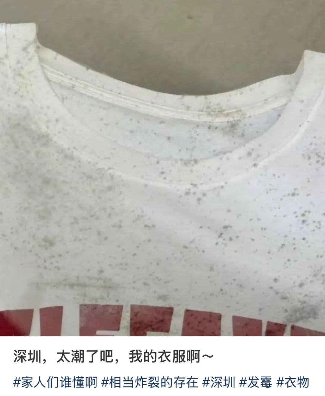 “真的绝望”！最近<strong></p>
<p>IPFS交易所</strong>，很多深圳人家中被悄悄入侵！速自查这些地方……