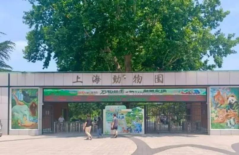 10月龄婴儿展馆内喝奶被赶出<strong></p>
<p>IPFS交易所</strong>，上海动物园称做法合规，客服：暂未接到增设母婴室通知