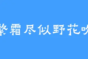 繁霜尽似野花吹
