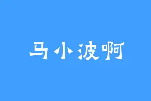 马小波啊