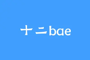 十二bae