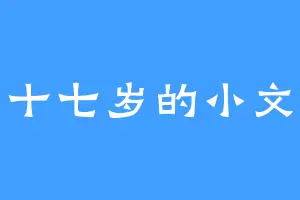 十七岁的小文