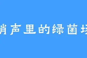 哨声里的绿菌场