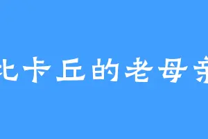 比卡丘的老母亲