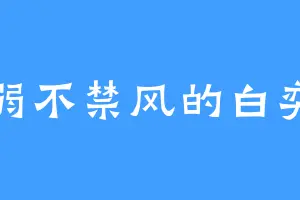 弱不禁风的白奕