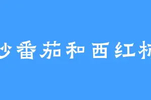 炒番茄和西红柿