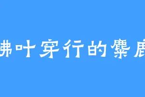 拂叶穿行的麋鹿