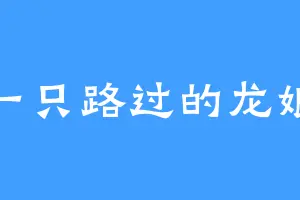 一只路过的龙娘