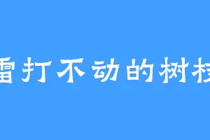 雷打不动的树枝