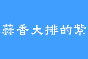 爱吃蒜香大排的紫狼王