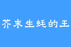 爱吃芥末生蚝的王小花