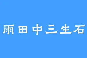 雨田中三生石