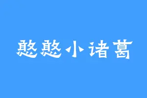 憨憨小诸葛