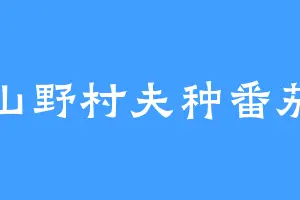 山野村夫种番茄