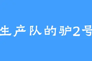 生产队的驴2号