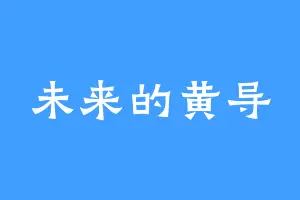 未来的黄导