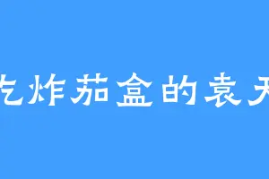 爱吃炸茄盒的袁天成
