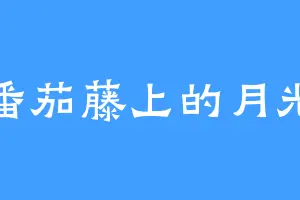 番茄藤上的月光