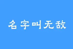 名字叫无敌