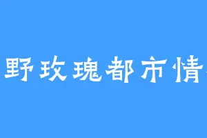 炙野玫瑰都市情感