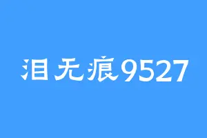 泪无痕9527