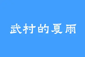 武村的夏雨