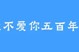我不爱你五百年了