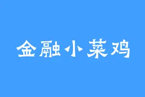 金融小菜鸡