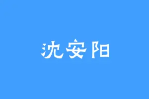 沈安阳