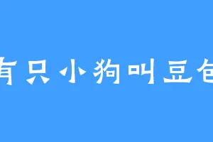 有只小狗叫豆包