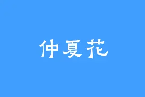 仲夏花