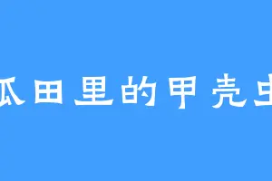 瓜田里的甲壳虫