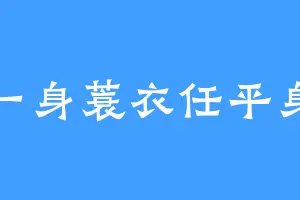 一身蓑衣任平身