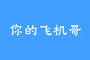 你的飞机哥