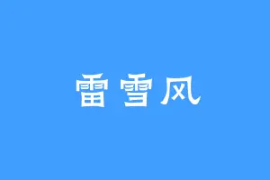 雷雪风