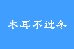 木耳不过冬