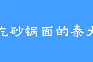 爱吃砂锅面的秦大哥