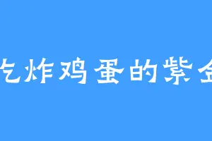 爱吃炸鸡蛋的紫金宗