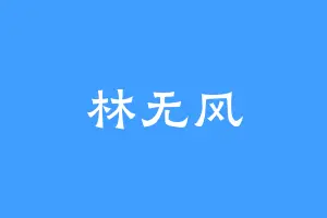 林无风
