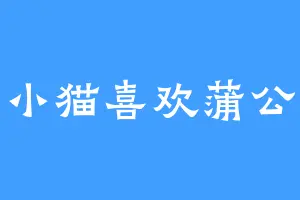 小小猫喜欢蒲公英