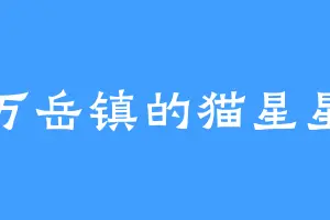 万岳镇的猫星星